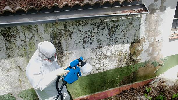Trusted Mold Inspection service in Prince Frederick, MD - Cheap Mold Removal